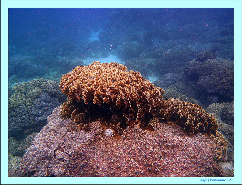 2012 - 07 - Apoh Island 20